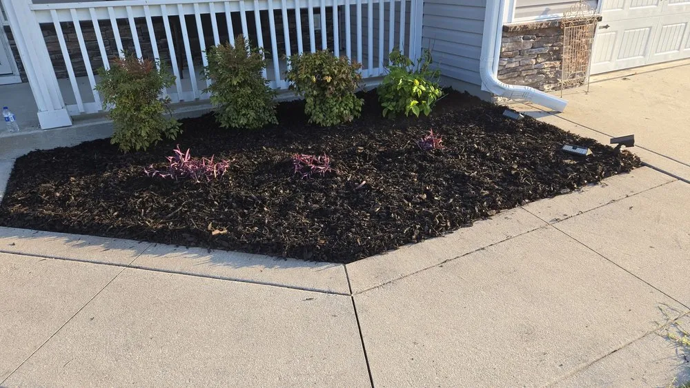 Affordable residential landscaping in Mt Olive, NC by Dirt Cheap Lawn Care Service