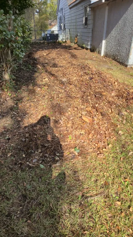 Trusted lawn care service with custom design across Mt Olive, NC - Dirt Cheap Lawn Care Service