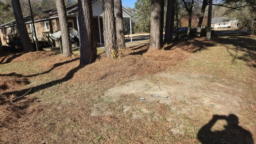 Expert residential landscaping in Mt Olive, NC by Dirt Cheap Lawn Care Service