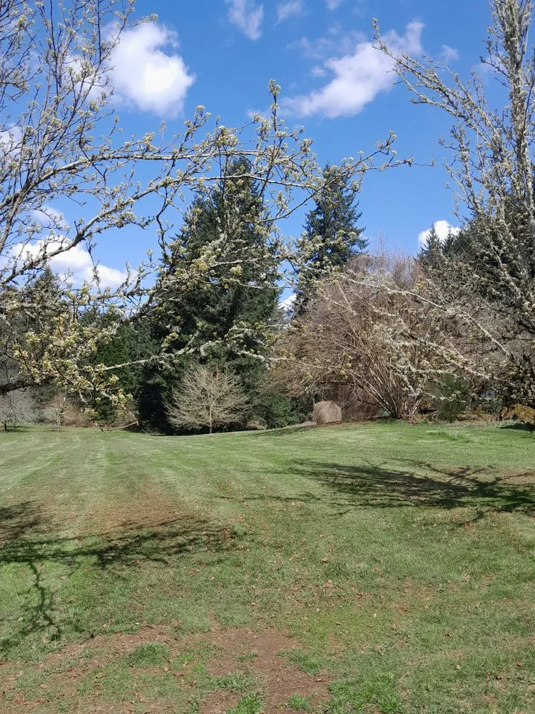 Professional landscape installation experts serving Spokane, WA - Dirt Cheap Lawn Maintenance