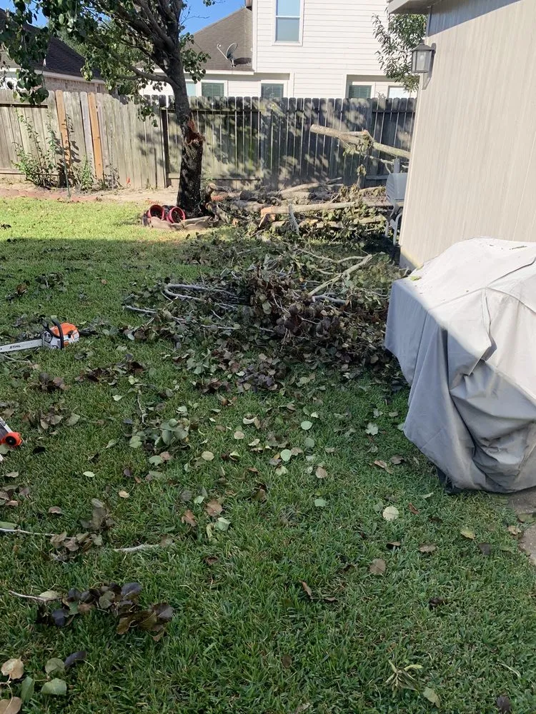 Top-rated lawn care service with custom design in Humble, TX by Dirt Cheap Mulch