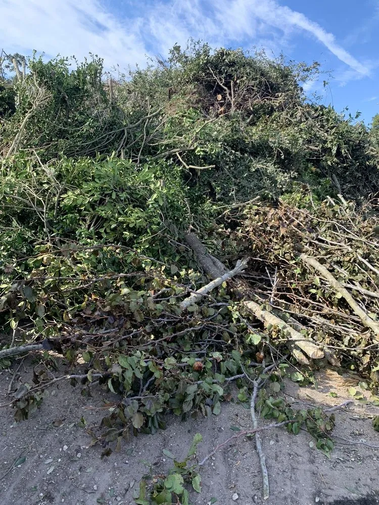 Top-rated lawn care service in Humble, TX - Dirt Cheap Mulch