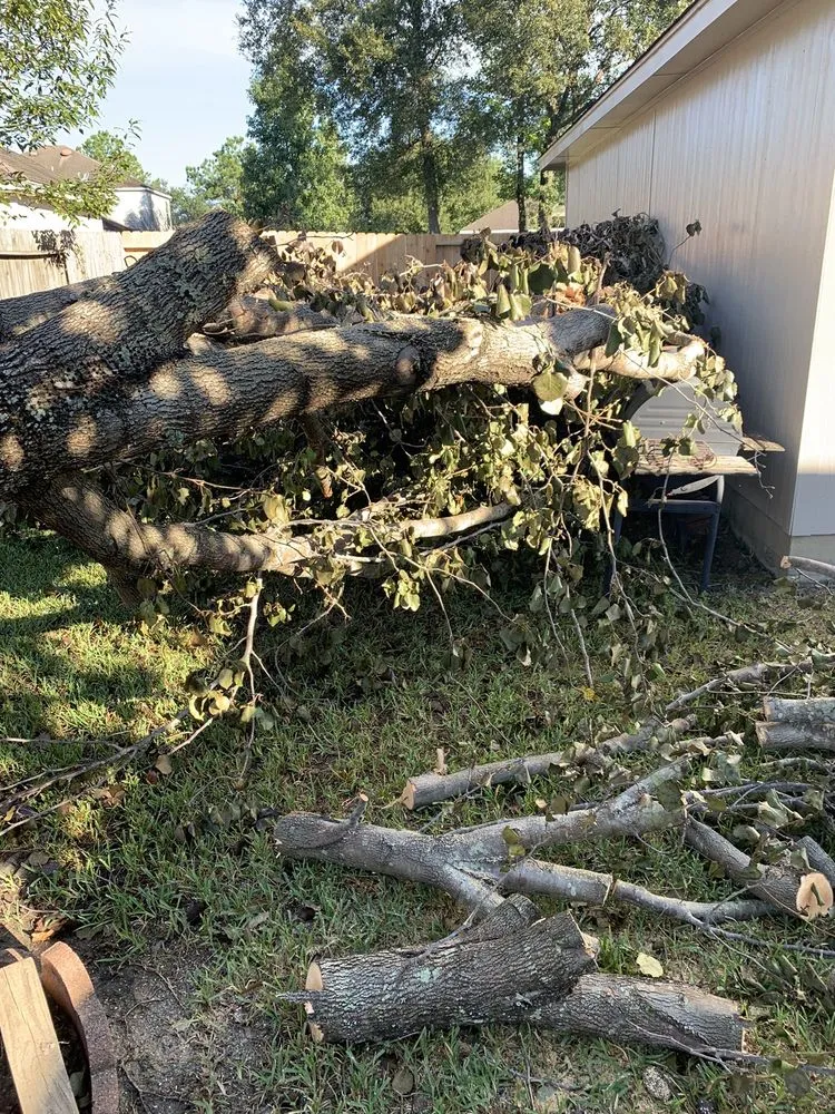 Expert outdoor landscaping for beautiful yards across Humble, TX - Dirt Cheap Mulch