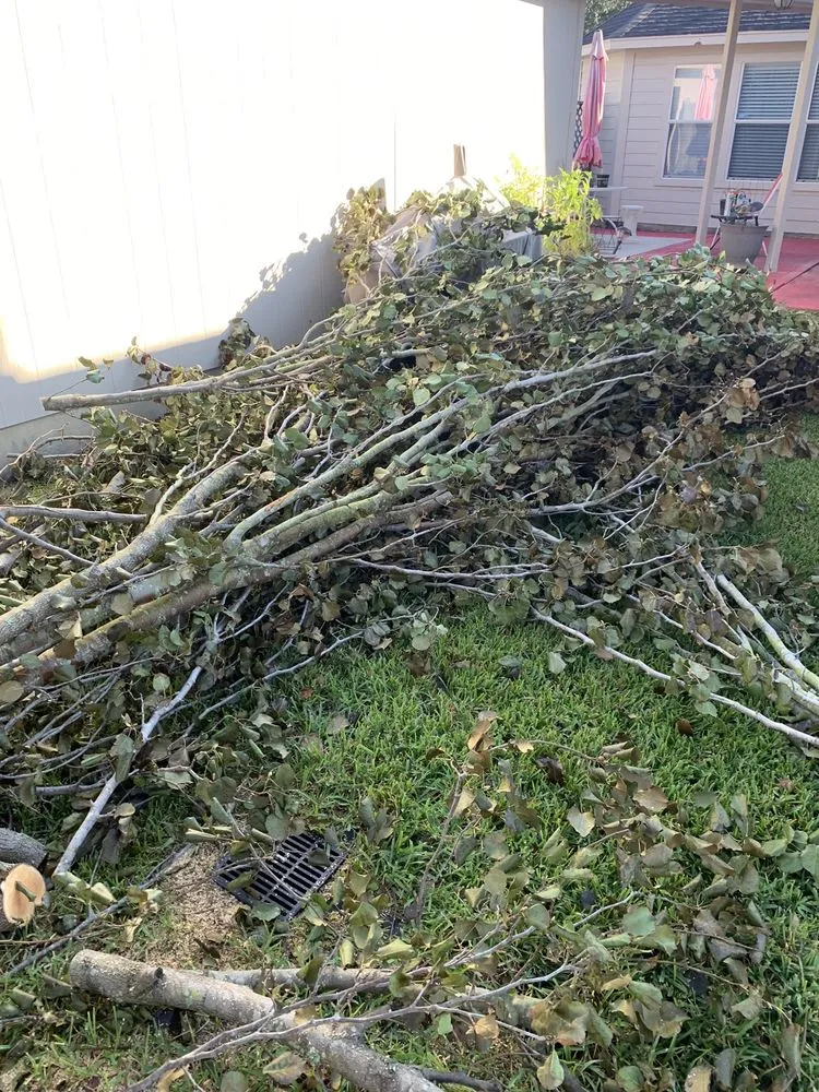 Professional lawn care service in Humble, TX by Dirt Cheap Mulch