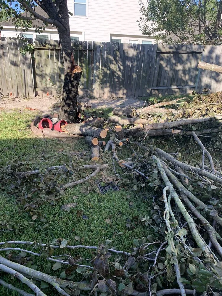 Reliable lawn mowing service for outdoor upgrades in Humble, TX by Dirt Cheap Mulch