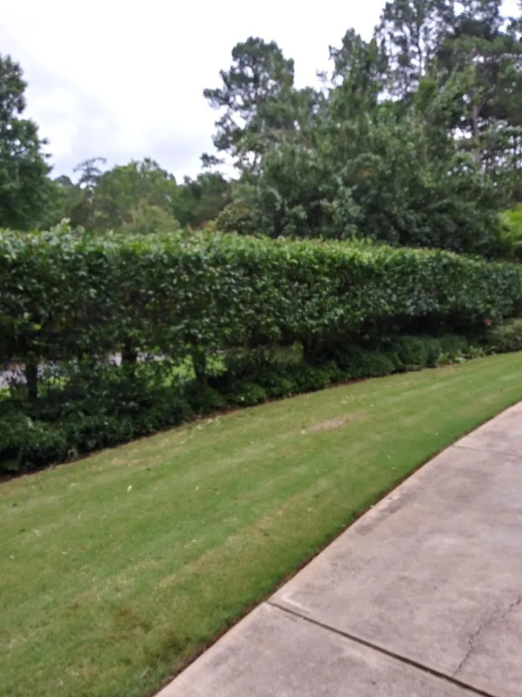 Top-rated lawn mowing service experts serving Marietta, GA - Dirt Cheap Outdoor Solutions