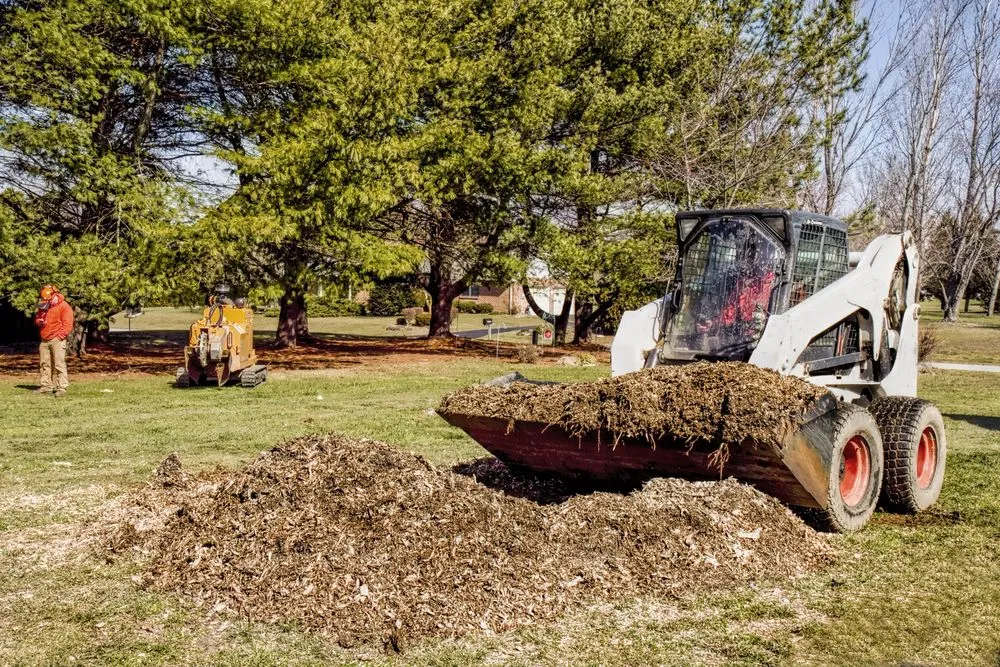 Reliable lawn care service for outdoor upgrades across Fairfax, VA - Dirt Connections