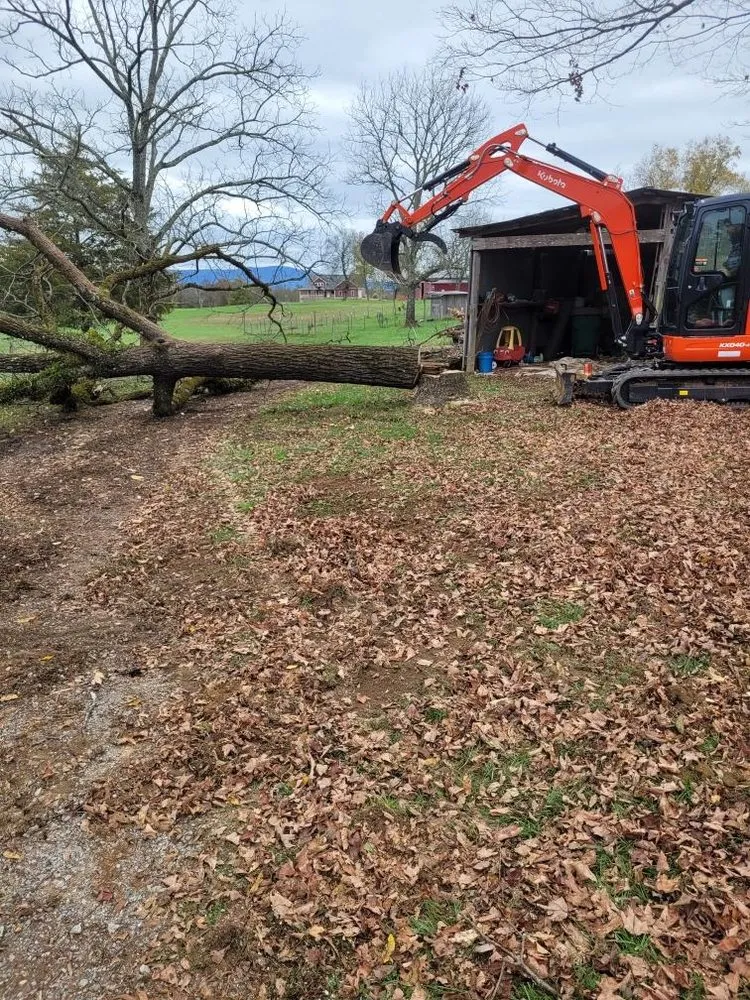 Affordable landscape design for year-round maintenance across Cleveland, TN - Dirt Dobber