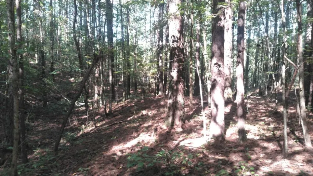 Reliable landscape installation for homes across Cleveland, TN - Dirt Dobber