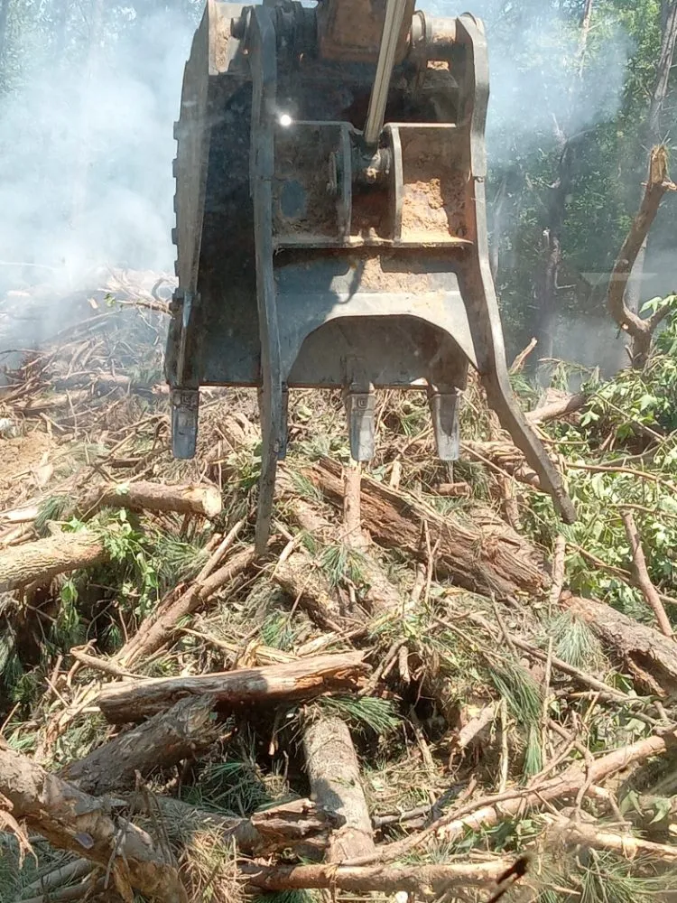 Expert yard maintenance for outdoor upgrades in Knightdale, NC by Dirt Dog Landscape Designs