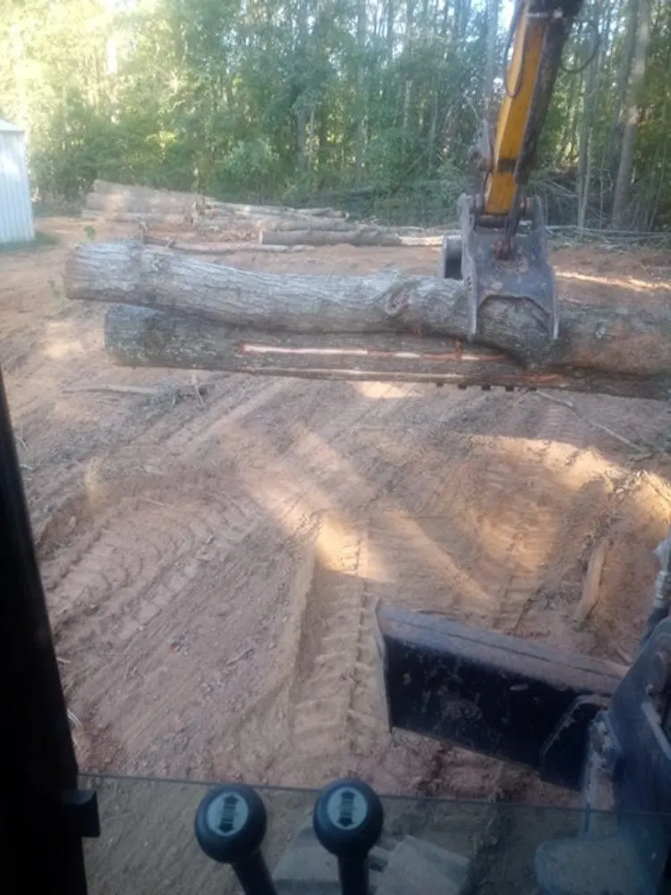 Professional yard maintenance in Knightdale, NC by Dirt Dog Landscape Designs