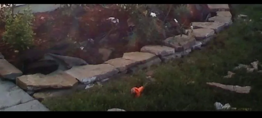 Custom outdoor landscaping in Knightdale, NC - Dirt Dog Landscape Designs