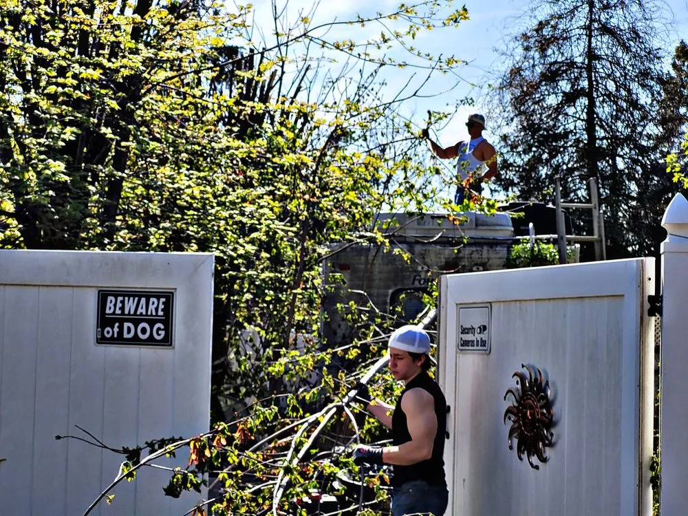 Top-rated landscape design for residential properties across Allentown, PA - Dirt Dudes - Landscaping and Removal