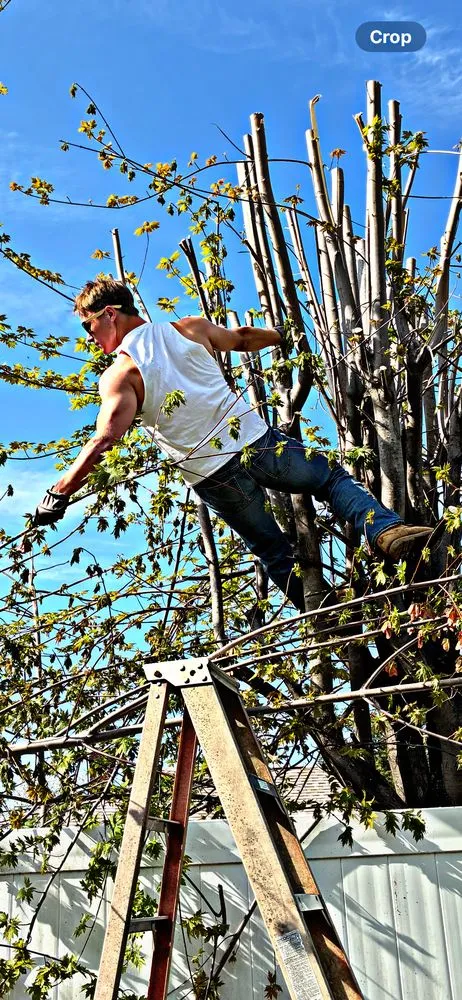 Expert landscape installation experts serving Allentown, PA - Dirt Dudes - Landscaping and Removal