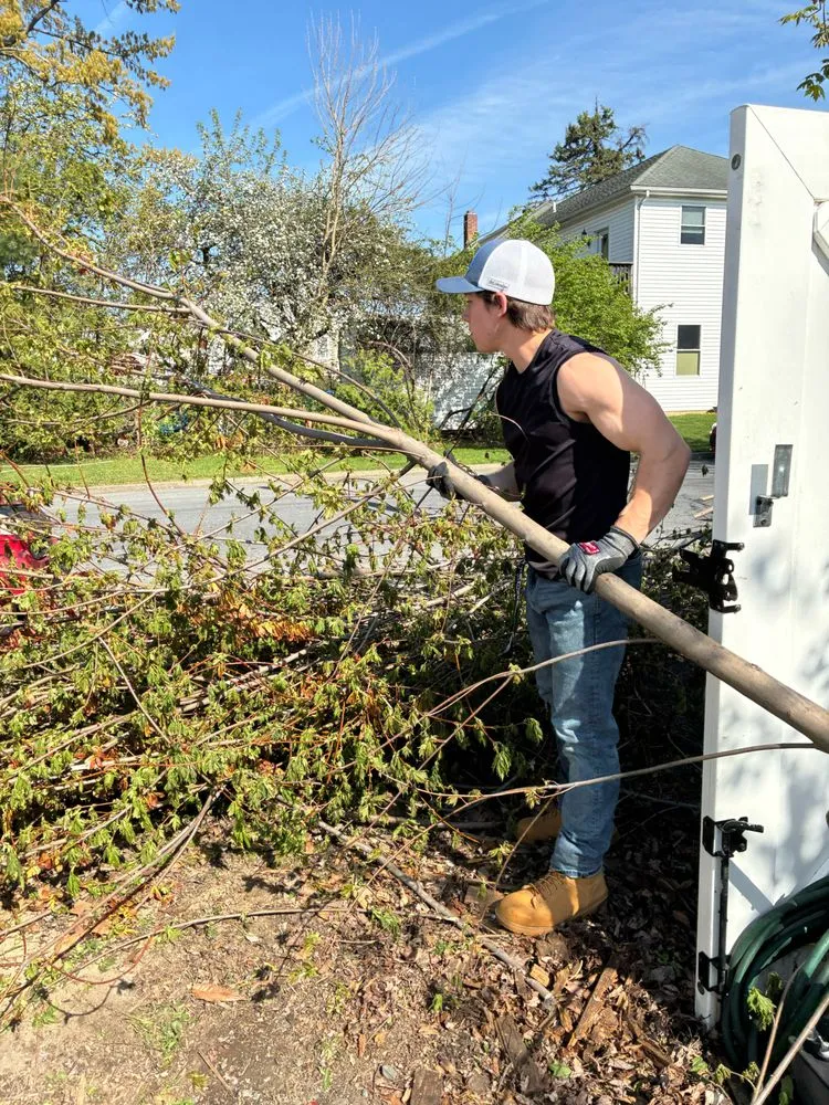 Top-rated residential landscaping for beautiful yards across Allentown, PA - Dirt Dudes - Landscaping and Removal