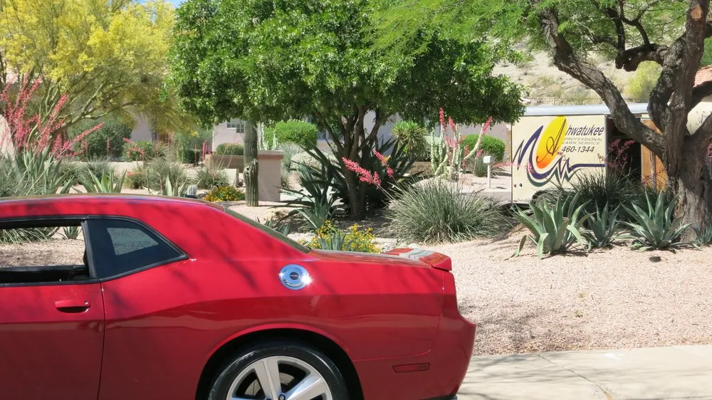 Professional residential landscaping with custom design in Phoenix, AZ by Dirt Jockeys