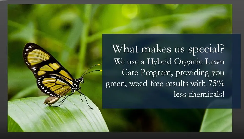 Professional landscape installation experts serving Phoenix, AZ - Dirt Jockeys