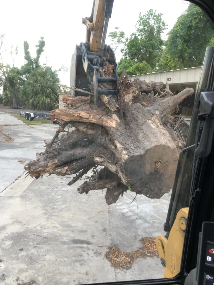 Local landscaping services in Lynn Haven, FL by Dirt Monkey Land Works