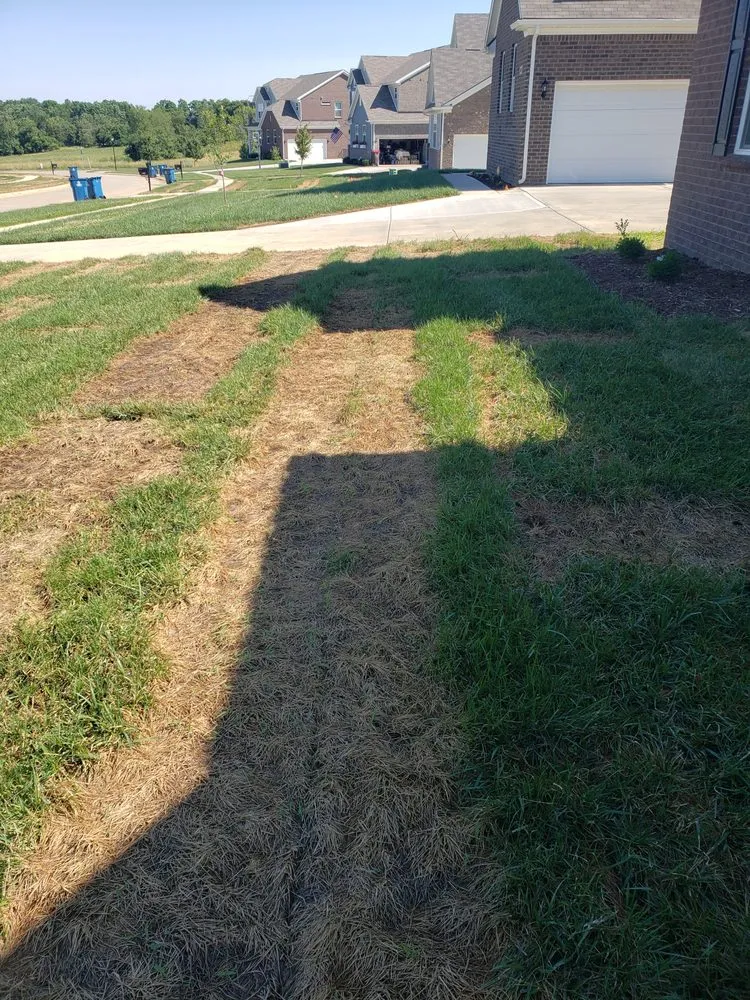 Top-rated garden landscaping in Louisville, KY by Dirt N' Turf