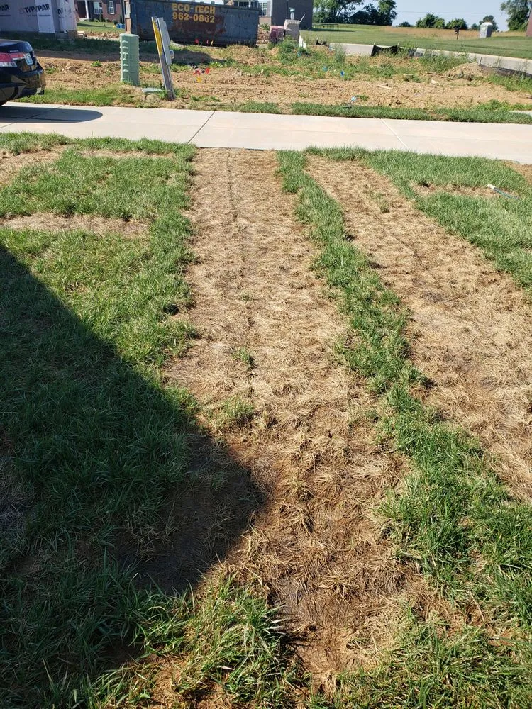 Local landscape design for residential properties across Louisville, KY - Dirt N' Turf