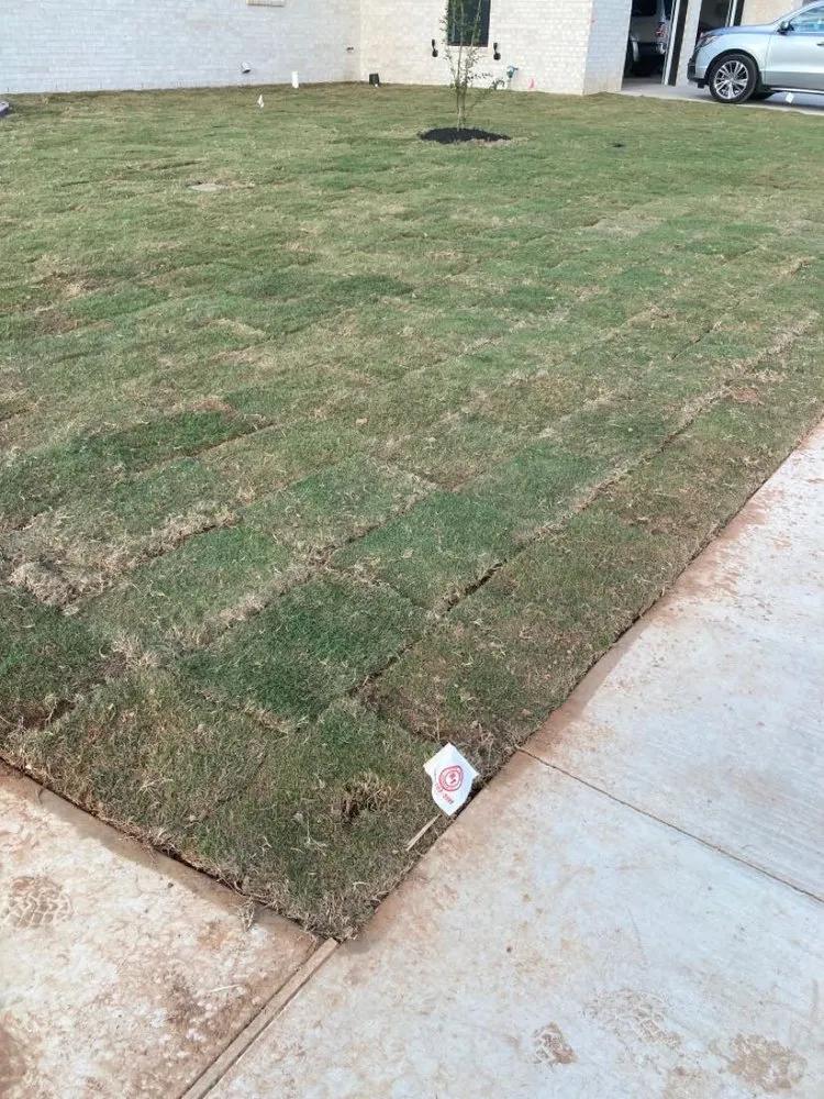 Top-rated landscape design for outdoor upgrades in Longview, TX by Dirt Shark Landscape