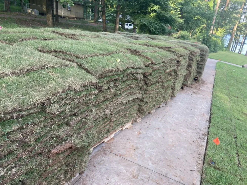 Affordable lawn mowing service for year-round maintenance across Longview, TX - Dirt Shark Landscape