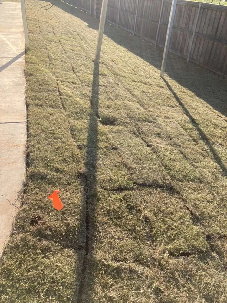 Top-rated lawn mowing service for outdoor upgrades in Longview, TX by Dirt Shark Landscape