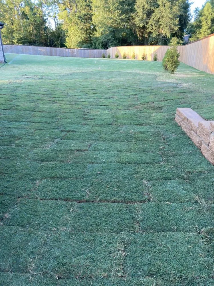 Top-rated landscape design experts serving Longview, TX - Dirt Shark Landscape