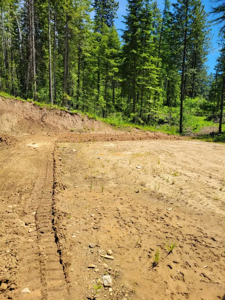 Affordable yard cleanup service experts serving Lewiston, ID - Dirt Work Services