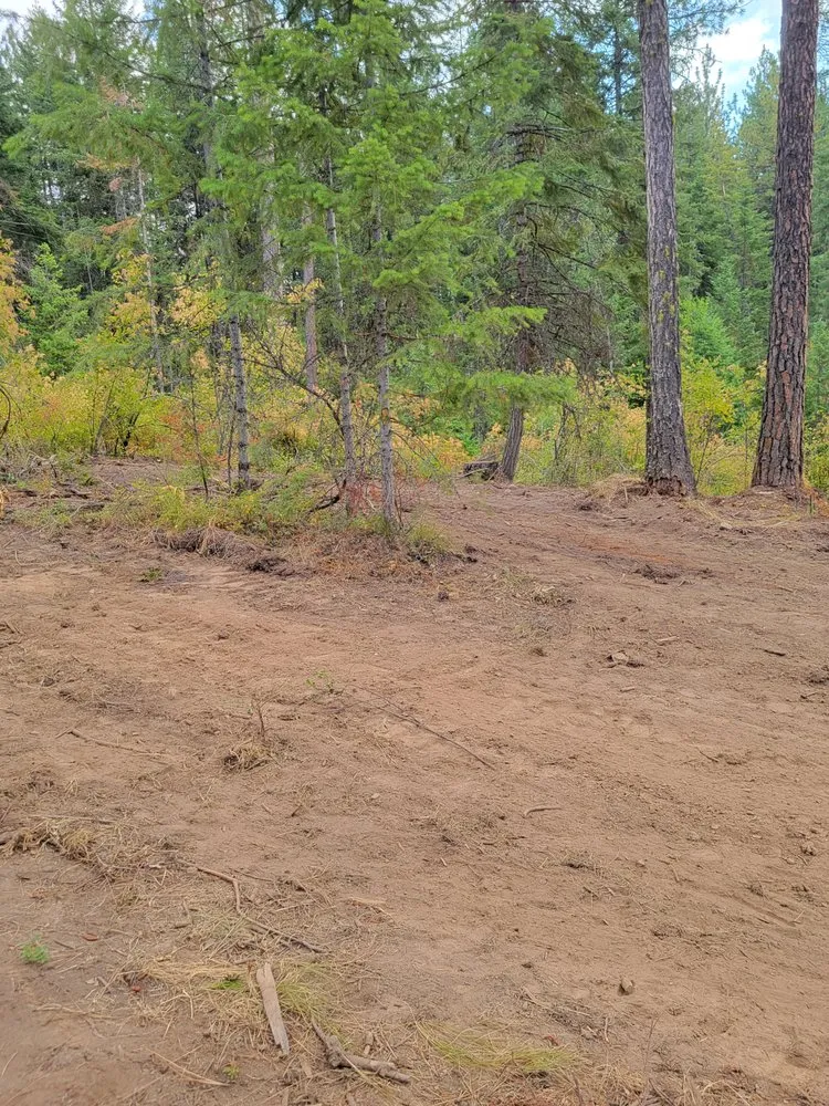 Local lawn care service for residential properties in Lewiston, ID by Dirt Work Services