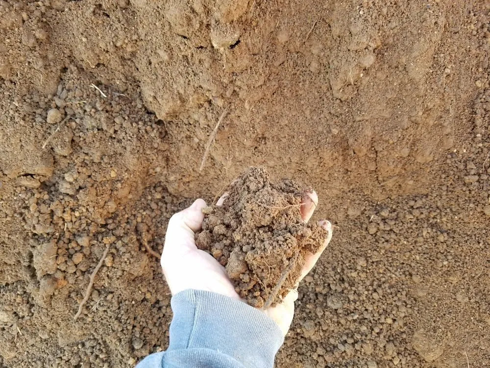 Reliable garden landscaping experts serving Murfreesboro, TN - Dirt Works LLC.