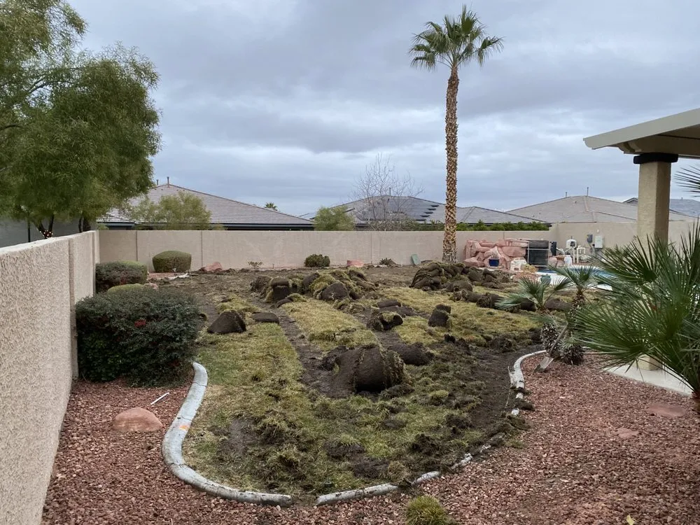 Reliable yard cleanup service experts serving Las Vegas, NV - Dirtbag Landscape & Handyman