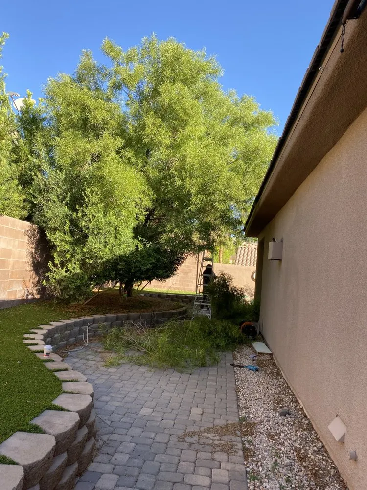 Local landscape design for homes across Las Vegas, NV - Dirtbag Landscape & Handyman