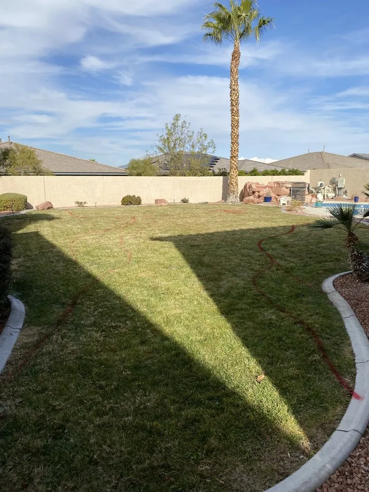 Professional lawn care service in Las Vegas, NV - Dirtbag Landscape & Handyman