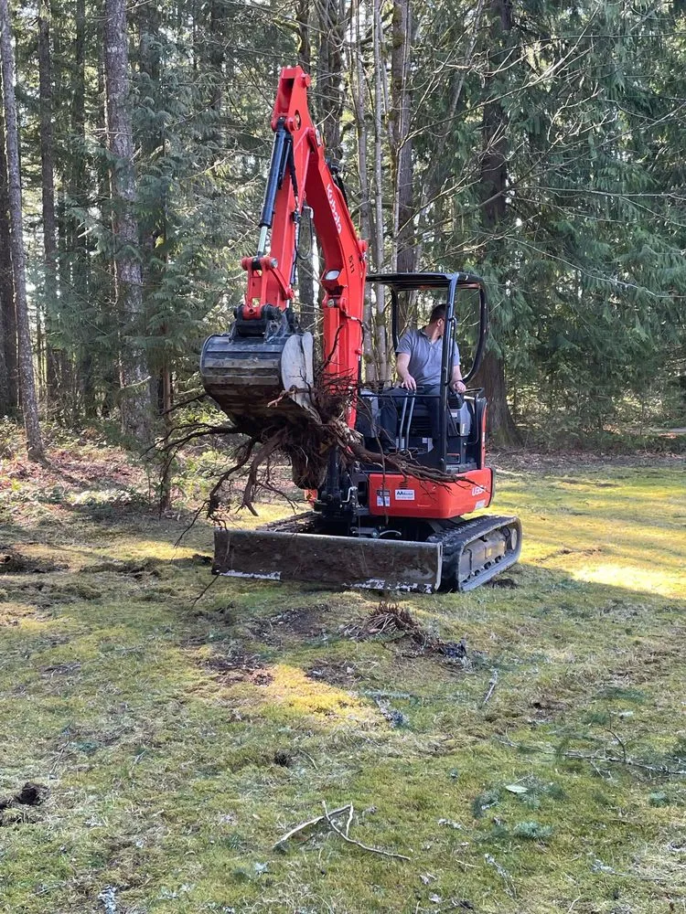 Professional lawn care service in Newcastle, WA by Dirtbusters Excavation