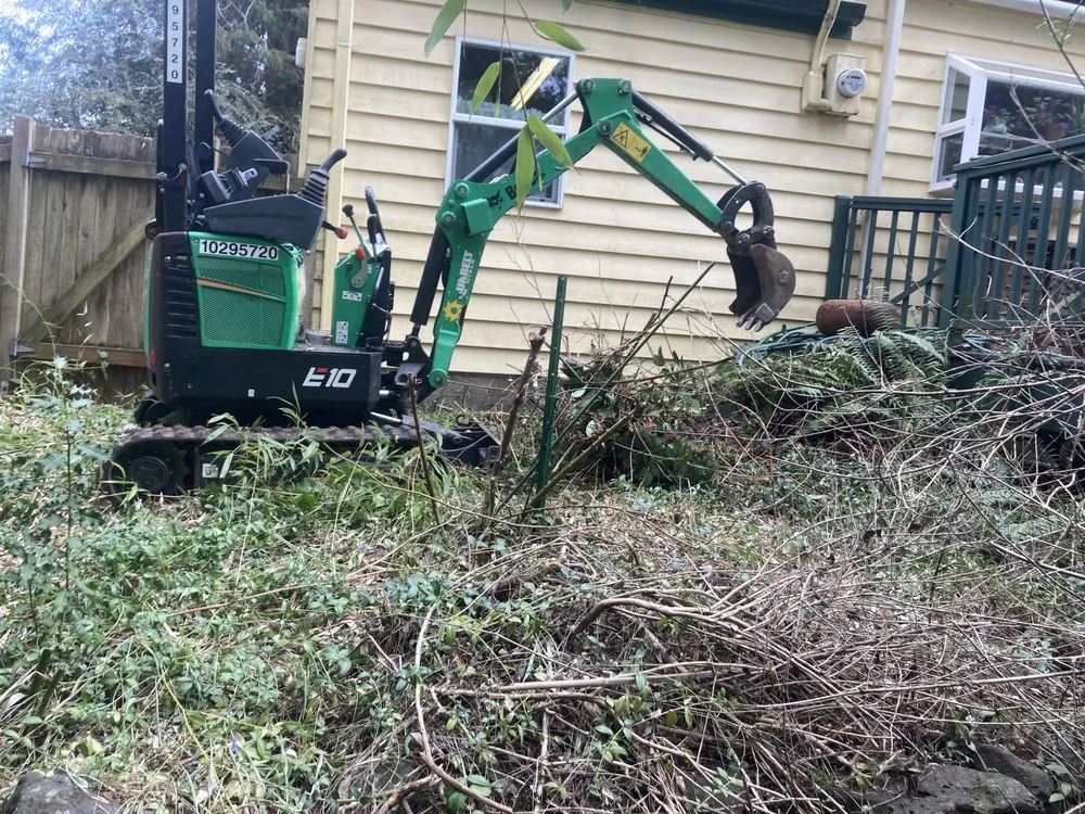 Trusted yard cleanup service in Newcastle, WA - Dirtbusters Excavation