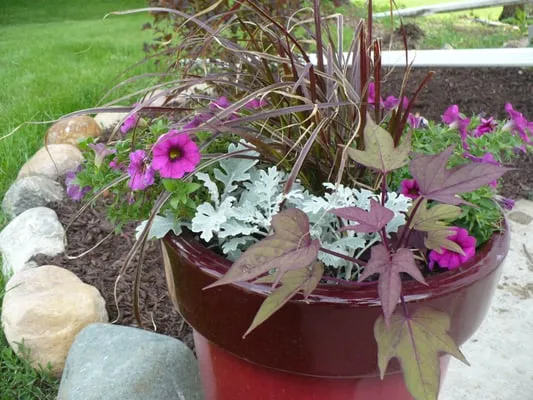 Dirt's Lawn and Landscape