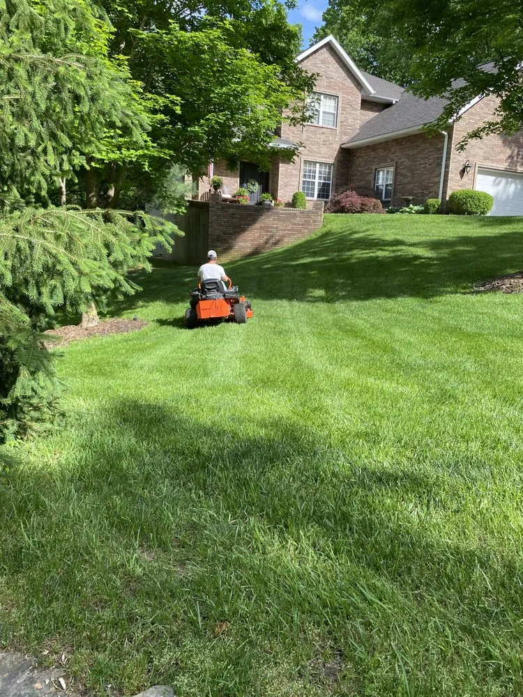 Expert yard maintenance experts serving Branson, MO - Dirts Lawn Care & Handyman Services