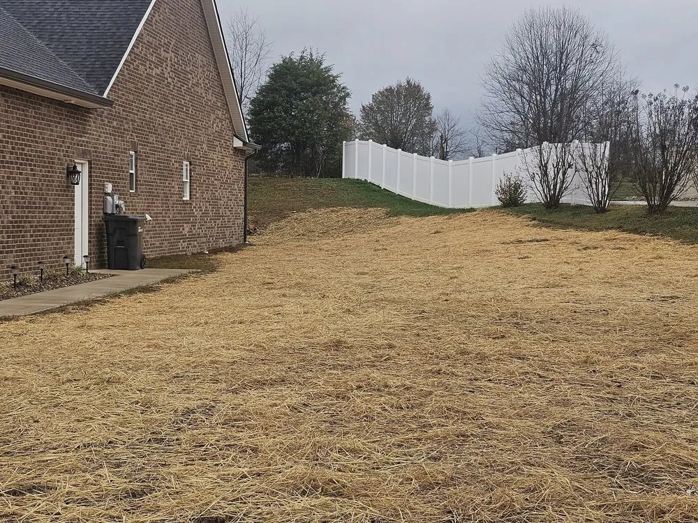 Affordable lawn care service in Blountville, TN - Dirtwerx