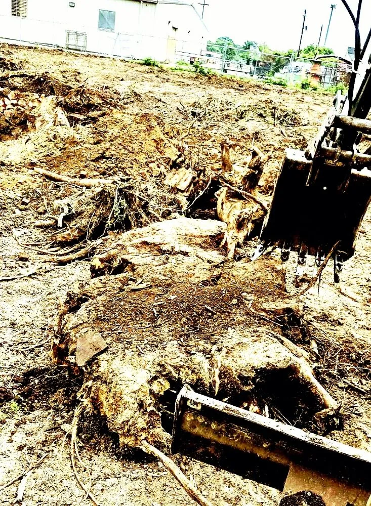 Professional residential landscaping for beautiful yards across Olive Branch, MS - Dirtworx