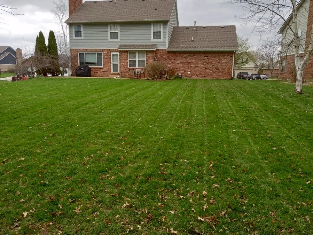 Reliable lawn care service in Indianapolis, IN by Dirty Bird Lawn Care