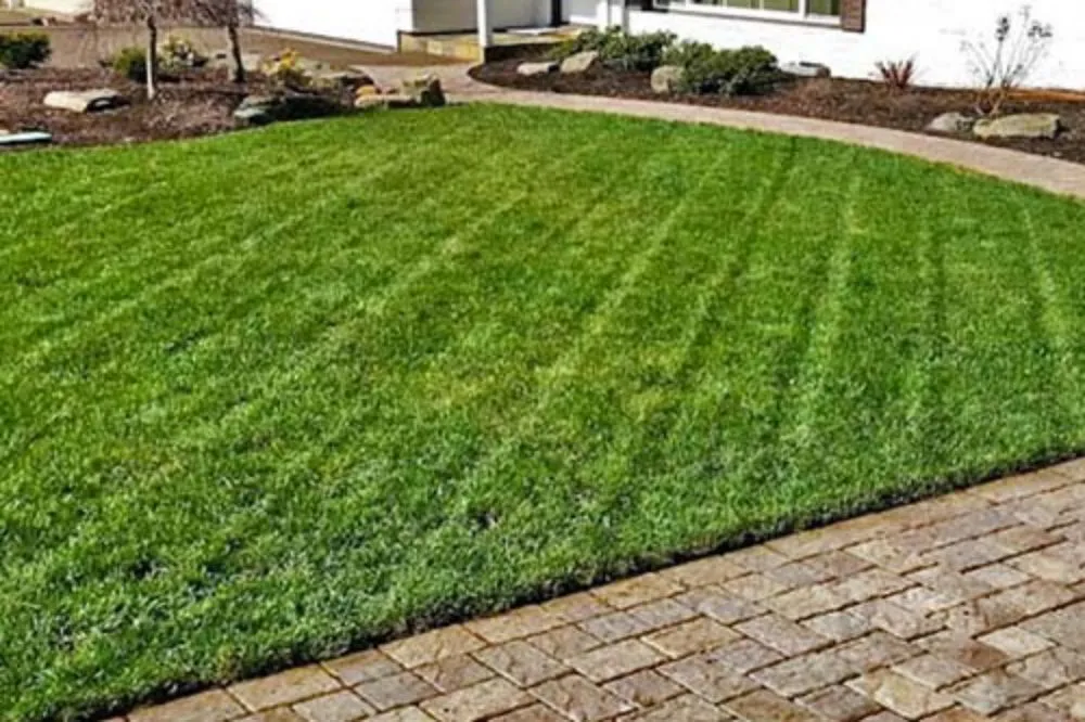 Expert garden landscaping for year-round maintenance across Indianapolis, IN - Dirty Bird Lawn Care