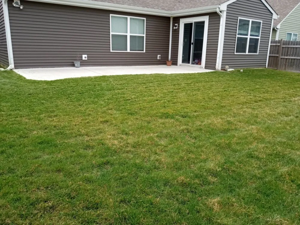 Top-rated yard maintenance for homes across Indianapolis, IN - Dirty Bird Lawn Care