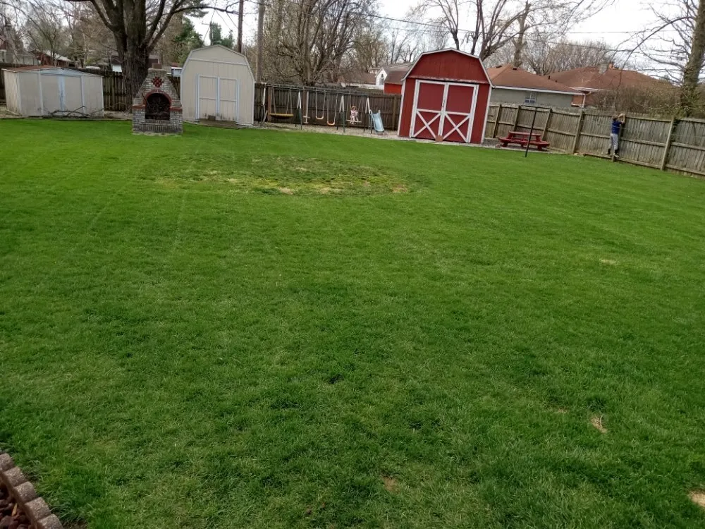 Professional yard cleanup service in Indianapolis, IN by Dirty Bird Lawn Care