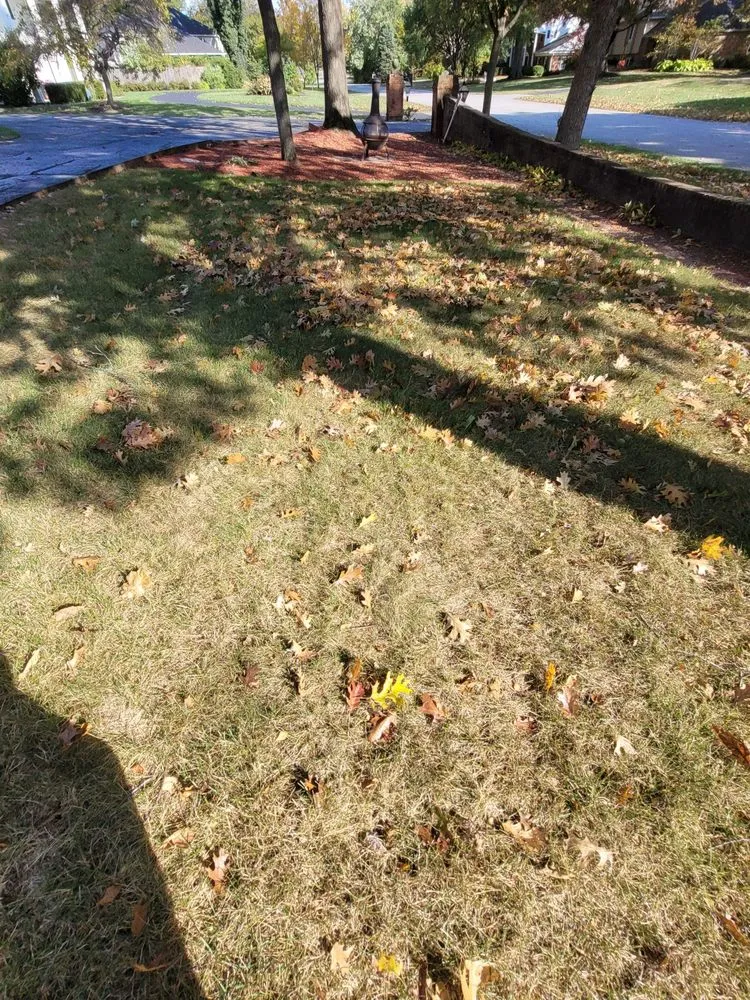 Trusted outdoor landscaping for beautiful yards across Indianapolis, IN - Dirty Bird Lawn Care