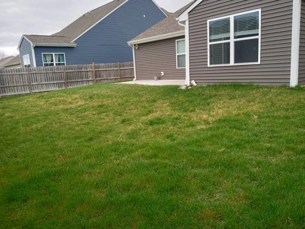 Professional landscape installation in Indianapolis, IN by Dirty Bird Lawn Care