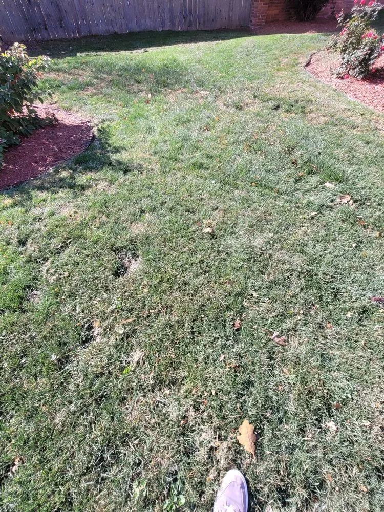 Expert landscape design with custom design across Indianapolis, IN - Dirty Bird Lawn Care