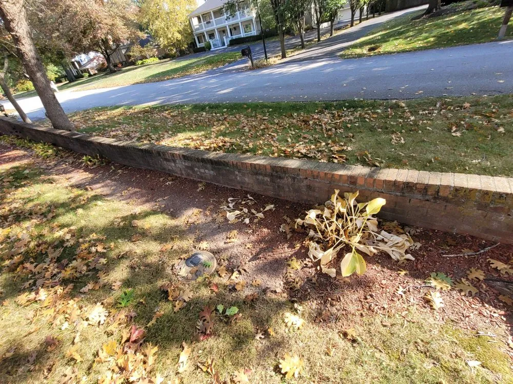 Custom landscape installation in Indianapolis, IN - Dirty Bird Lawn Care