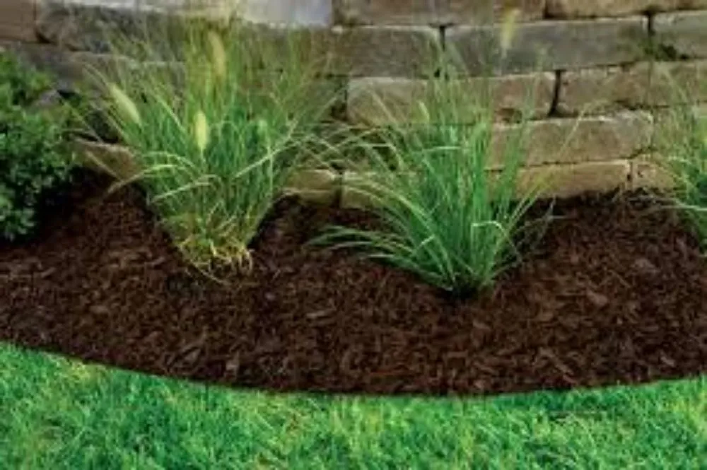 Expert landscaping services for homes across Indianapolis, IN - Dirty Bird Lawn Care