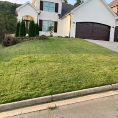 Dirty Bird Lawn Care Logo